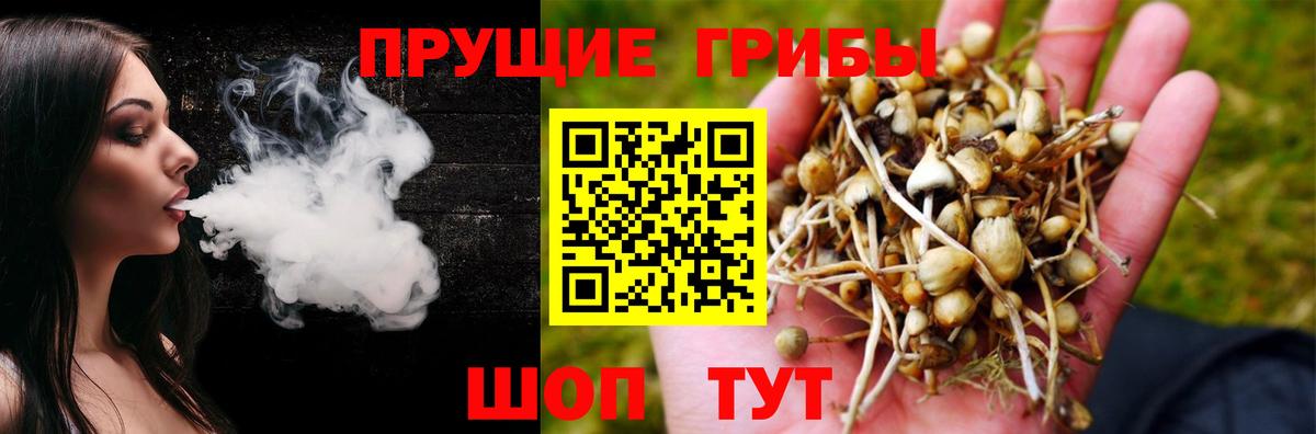Галлюциногенные грибы мухоморы Качканар